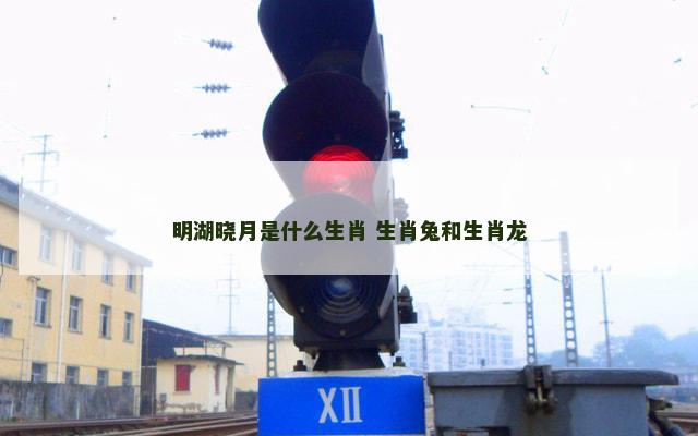 明湖晓月是什么生肖 生肖兔和生肖龙