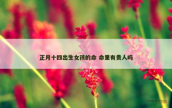 正月十四出生女孩的命 命里有贵人吗