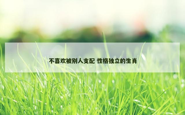 不喜欢被别人支配 性格独立的生肖