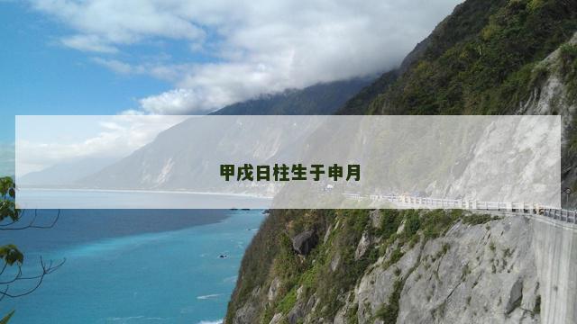 甲戌日柱生于申月