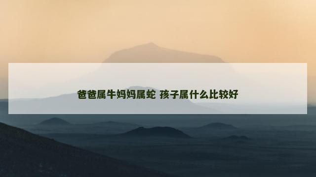 爸爸属牛妈妈属蛇 孩子属什么比较好