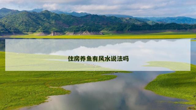 住房养鱼有风水说法吗