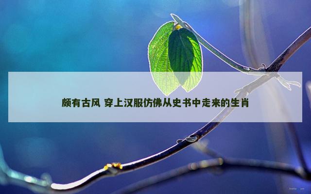 颇有古风 穿上汉服仿佛从史书中走来的生肖