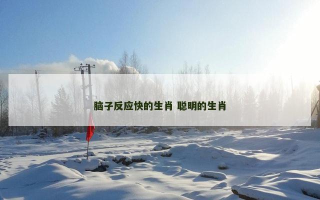 脑子反应快的生肖 聪明的生肖