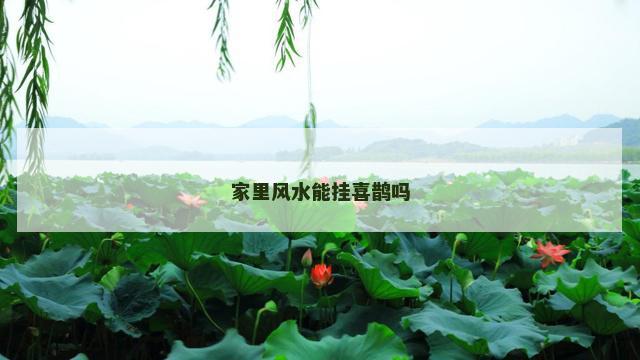家里风水能挂喜鹊吗