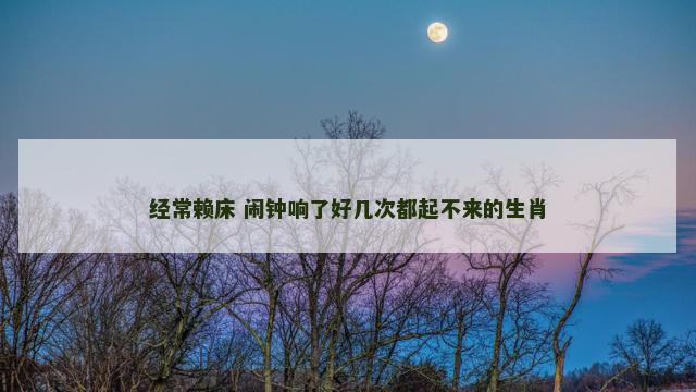 经常赖床 闹钟响了好几次都起不来的生肖
