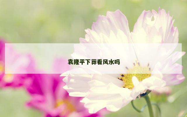 袁隆平下葬看风水吗