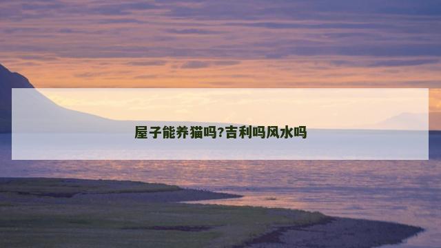 屋子能养猫吗?吉利吗风水吗