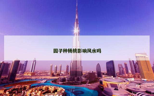 园子种杨桃影响风水吗