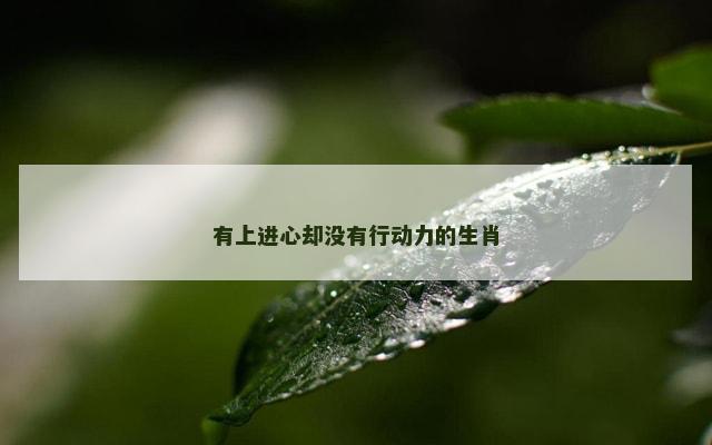 有上进心却没有行动力的生肖