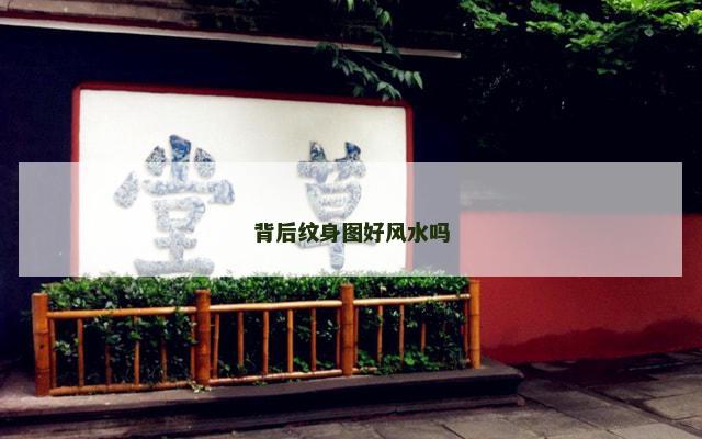 背后纹身图好风水吗
