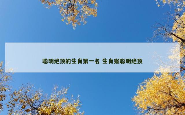 聪明绝顶的生肖第一名 生肖猴聪明绝顶