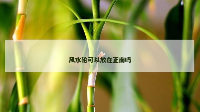 风水轮可以放在正南吗