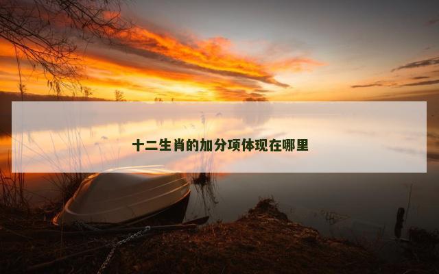 十二生肖的加分项体现在哪里