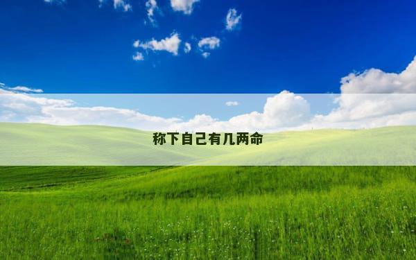 称下自己有几两命