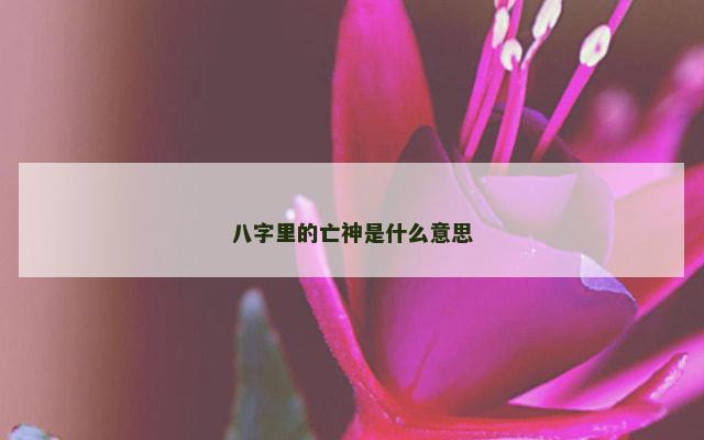 八字里的亡神是什么意思