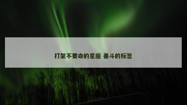 打架不要命的星座 善斗的标签