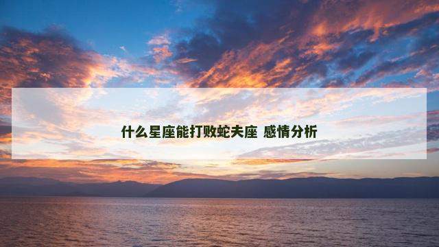 什么星座能打败蛇夫座 感情分析