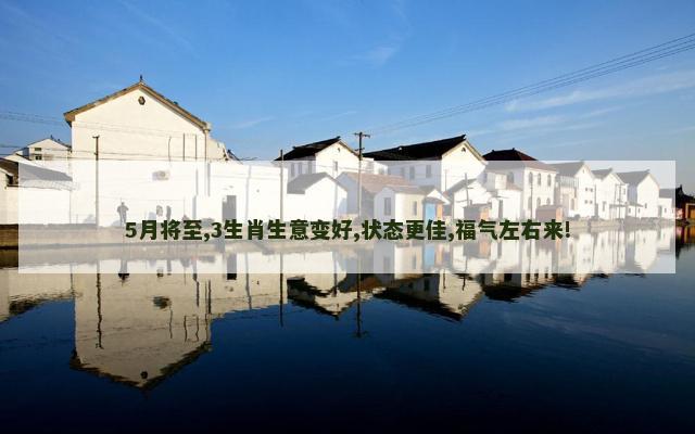 5月将至,3生肖生意变好,状态更佳,福气左右来!