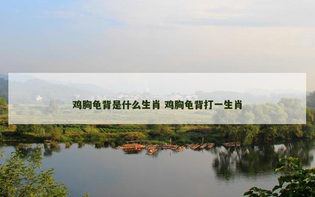 鸡胸龟背是什么生肖 鸡胸龟背打一生肖