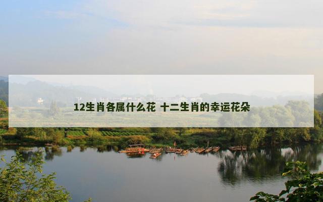 12生肖各属什么花 十二生肖的幸运花朵