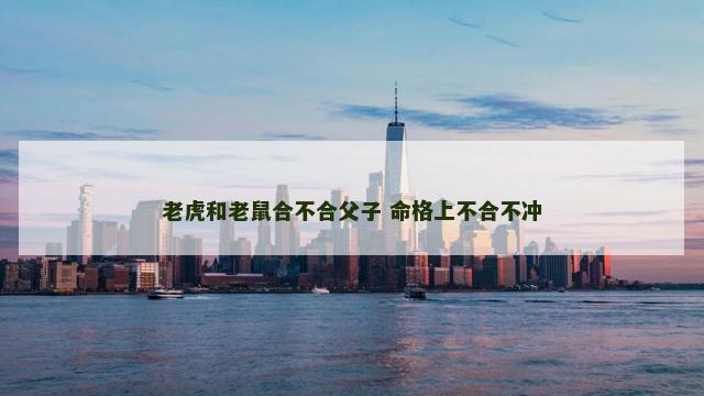 老虎和老鼠合不合父子 命格上不合不冲