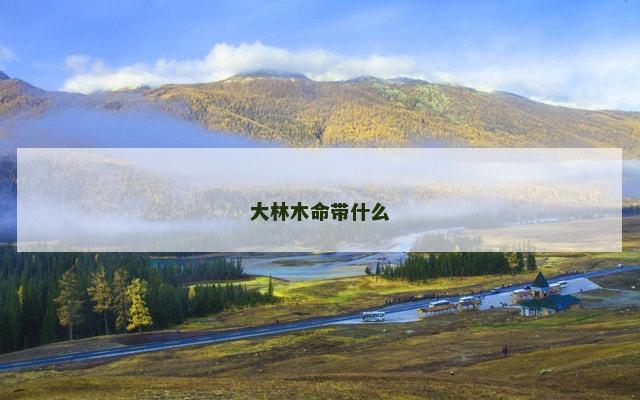 大林木命带什么