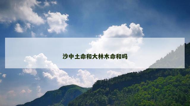 沙中土命和大林木命和吗