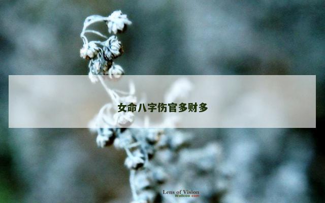 女命八字伤官多财多