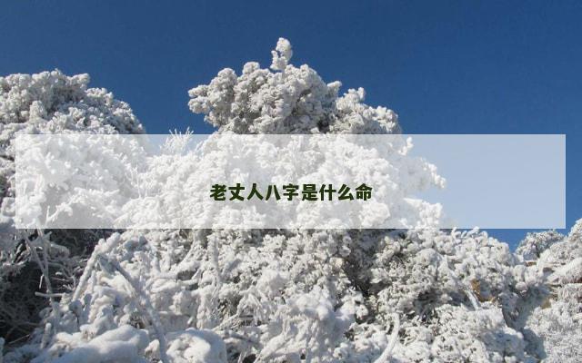 老丈人八字是什么命