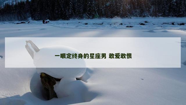 一眼定终身的星座男 敢爱敢恨