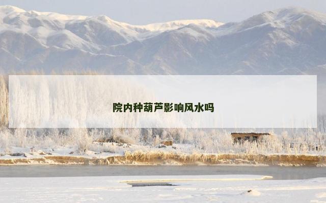 院内种葫芦影响风水吗