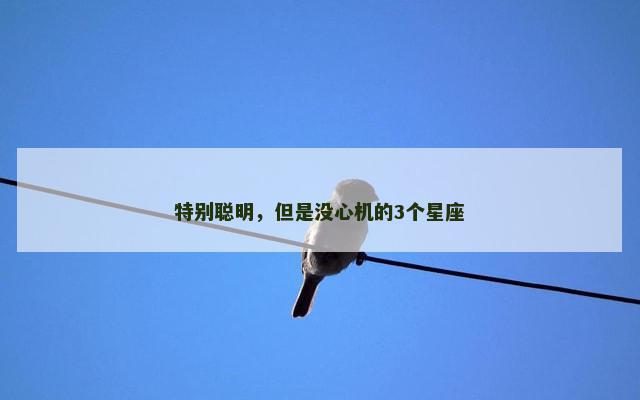 特别聪明，但是没心机的3个星座