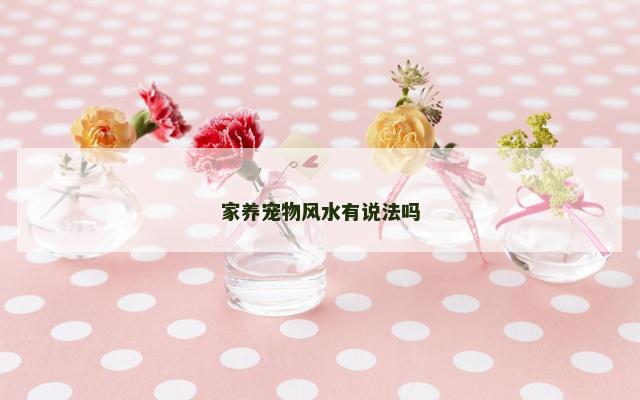 家养宠物风水有说法吗