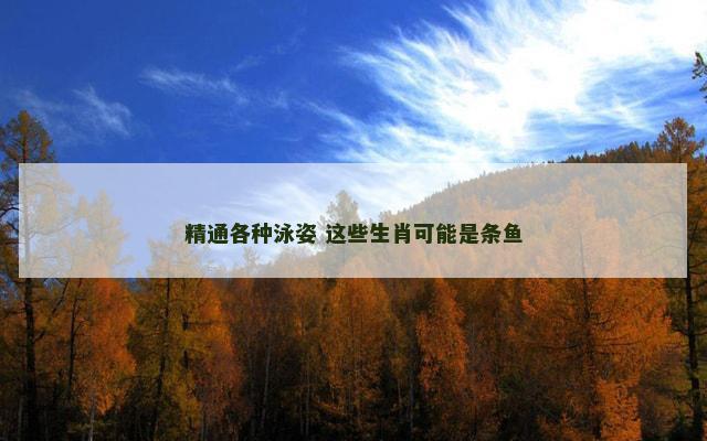 精通各种泳姿 这些生肖可能是条鱼