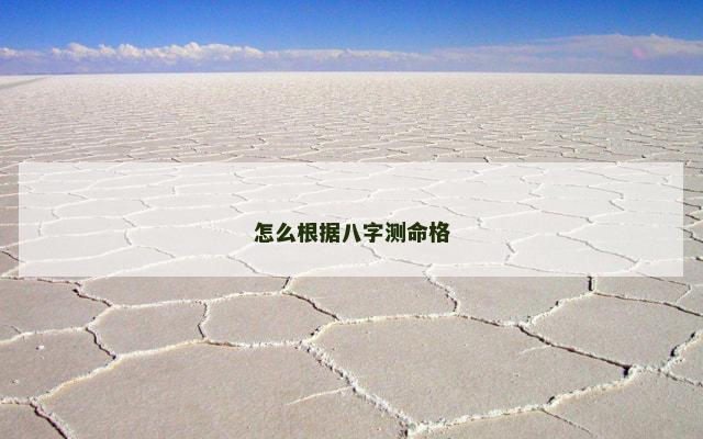 怎么根据八字测命格