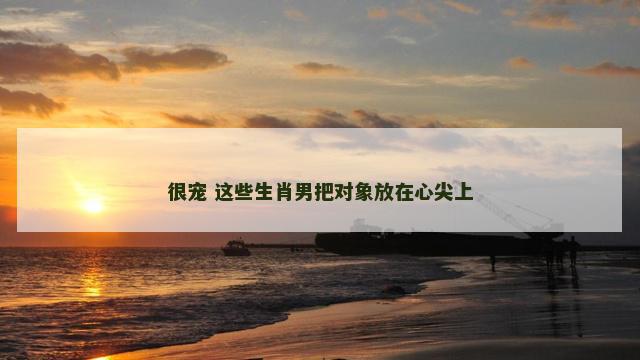 很宠 这些生肖男把对象放在心尖上