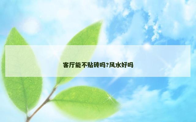 客厅能不贴砖吗?风水好吗