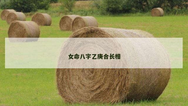 女命八字乙庚合长相