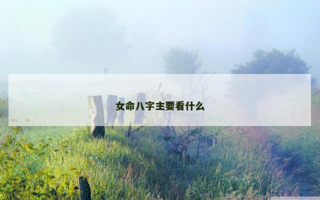 女命八字主要看什么
