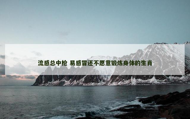 流感总中枪 易感冒还不愿意锻炼身体的生肖