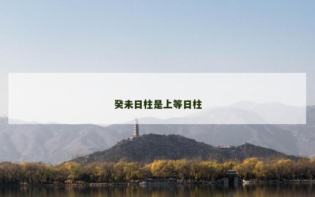 癸未日柱是上等日柱