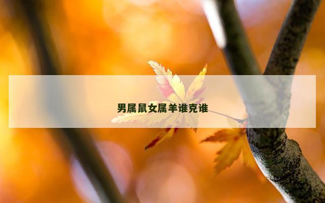男属鼠女属羊谁克谁