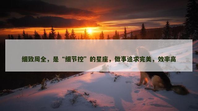 细致周全，是“细节控”的星座，做事追求完美，效率高
