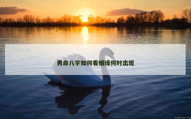 男命八字如何看姻缘何时出现