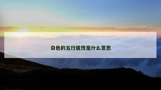 白色的五行属性是什么意思