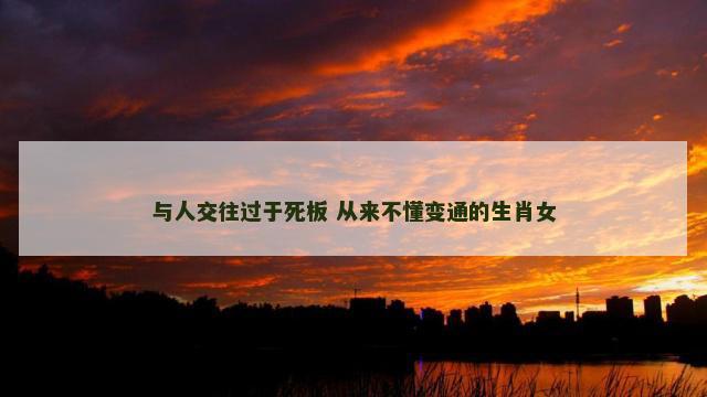 与人交往过于死板 从来不懂变通的生肖女