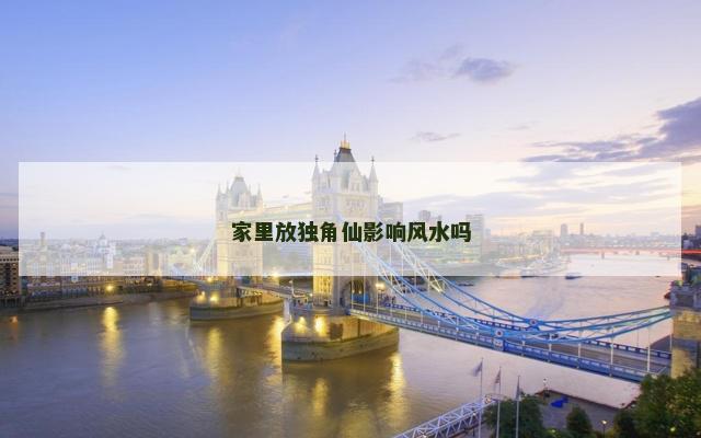 家里放独角仙影响风水吗