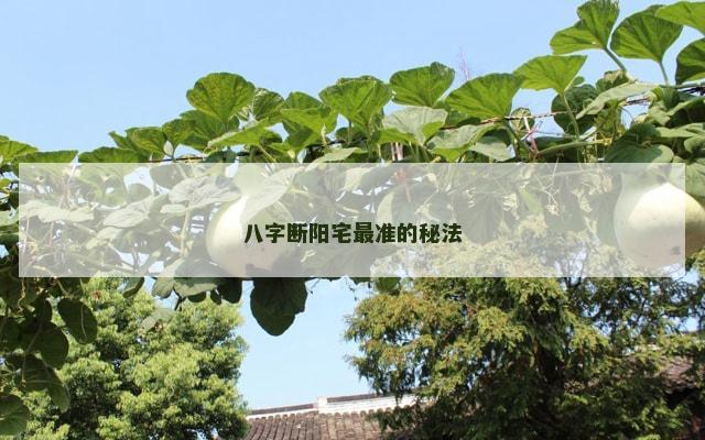 八字断阳宅最准的秘法