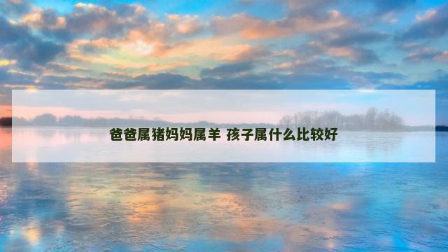 爸爸属猪妈妈属羊 孩子属什么比较好